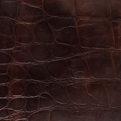 拉美鱷魚(yú)皮革制品 應(yīng)用與廣州高科進(jìn)出口貿(mào)易概覽